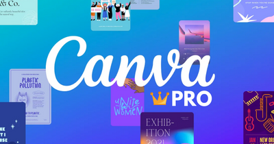 Top 10 Reasons Why You Need Canva Pro » Top Canva Pro Features List